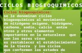 CICLOS BIOGEOQUIMICOS 15 Ciclos biogeoquímicos: se le denominan ciclos biogeoquimicos al movimiento de nitrógeno oxigeno, hidrógeno, carbono, sodio, calcio.