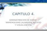 CAPITULO 4. ADMINISTRACION DE DATOS: WAREHOUSING (ALMACEN), ACCESO Y VISUALIZACION.
