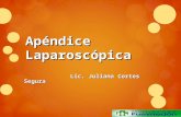Apéndice Laparoscópica Apéndice Laparoscópica Lic. Juliana Cortes Segura.