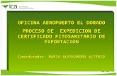 OFICINA AEROPUERTO EL DORADO PROCESO DE EXPEDICION DE CERTIFICADO FITOSANITARIO DE EXPORTACION Coordinador: MARIA ALESSANDRA ALTERIO.