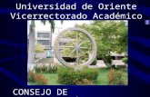 Universidad de Oriente Vicerrectorado Académico CONSEJO DE INVESTIGACIÓN.