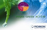 PROAN-GREEN ACTIVE Hygiene Solutions. Principio de funcionamiento de los productos Ejemplo de aplicación: las canalizaciones Proan–Green Active.