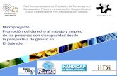 LOGO Microproyecto: Promoción del derecho al trabajo y empleo de las personas con discapacidad desde la perspectiva de género en El Salvador Red Iberoamericana.