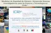 “Medidas de Equidad de Género: Atrayendo Nuevas Investigadoras para la Ciencia y Tecnología en Chile”. Laura Gallardo Klenner (laura@dgf.uchile.cl)laura@dgf.uchile.cl.