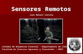 Sensores Remotos Juan Manuel Cellini Cátedra de Biometría Forestal - Departamento de Ciencias Exáctas Facultad de Ciencias Agrarias y Forestales - UNLP.