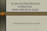 PLAN ESTRATÉGICO FORESTAL PARA MÉXICO 2025 Cortés Barrera Eunice Nayeli.