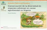 Manual de Formación en Recursos Genéticos Forestales Árboles fuera del bosque Conservación de la diversidad de especies arbóreas en cacao agroforestal.