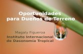 Oportunidades para Dueños de Terreno Magaly Figueroa Instituto Internacional de Dasonomía Tropical.