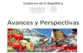 Avances y Perspectivas DR. RENE VILLARREAL Gobierno de la República Diciembre de 2014.
