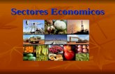 Sectores Economicos. Agrupación de actividades económicas, productoras de bienes y servicios, según el nivel de homogeneidad productiva de estas actividades.