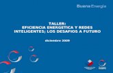 TALLER: EFICIENCIA ENERGETICA Y REDES INTELIGENTES; LOS DESAFIOS A FUTURO diciembre 2009.