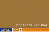 DESARROLLO RURAL Programa para la Adquisición de Activos Productivos 2010.
