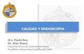 CALIDAD Y ENDOSCOPIA Dra. Paula Rey. Dr. Alan Sharp. Departamento de Gastroenterología Pontificia Universidad Católica de Chile.