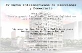 XV Curso Interamericano de Elecciones y Democracia Tema Central: “Construyendo las Condiciones de Equidad en los Procesos Electorales” Modulo I Tema “Acceso.