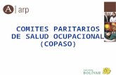 COMITES PARITARIOS DE SALUD OCUPACIONAL (COPASO)