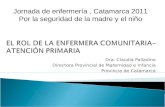 Dra. Claudia Palladino Directora Provincial de Maternidad e Infancia Provincia de Catamarca Jornada de enfermería, Catamarca 2011 Por la seguridad de la.