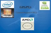 GPGPUs General Purpose GPUs. GPGPUs - AMD Fusion - Nvidia CUDA - Intel Nehalem - AMD Fusion - Nvidia CUDA - Intel Nehalem.