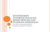 E STÁNDARES INTERNACIONALES : DERECHOS DE LOS PUEBLOS INDÍGENAS Dra. Mirva Aranda Escalante Comisión Andina de Juristas.