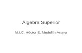 Álgebra Superior M.I.C. Héctor E. Medellín Anaya.