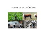 Sectores económicos. Las actividades económicas se clasifican en tres sectores: primario, secundario y terciario; recientemente, debido a la enorme amplitud.