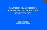 Eduardo Peña Fernández Ingeniero Forestal (Dr.) Universidad de Concepción Facultad de Ciencias Forestales CAMBIO CLIMATICO Y REGIMEN DE INCENDIOS FORESTALES.