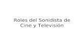 Roles del Sonidista de Cine y Televisión. Director de Sonido. Responsable de la totalidad de la banda sonora. 1.GUIÓN / GESTACIÓN DEL PROYECTO 2.PRE-PRODUCCIÓN.
