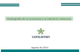 1 Radiografía de la economía y la industria mexicana Agosto de 2014.