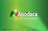 Apodaca es un municipio de la zona metropolitana de la capital del estado de Nuevo León. Ocupa el tercer lugar en cantidad de habitantes en el estado.