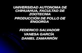 UNIVERSIDAD AUTONOMA DE CHIHUAHUA, FACULTAD DE ZOOTECNIA PRODUCCIÓN DE POLLO DE ENGORDA FEDERICO SALVADOR VANESA GARCÍA DANIEL ZAMARRÓN.