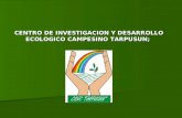 CENTRO DE INVESTIGACION Y DESARROLLO ECOLOGICO CAMPESINO TARPUSUN;