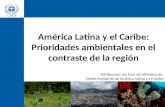 América Latina y el Caribe: Prioridades ambientales en el contraste de la región XIX Reunión del Foro de Ministros de Medio Ambiente de América Latina.