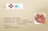 CATEDRA: PEDIATRIA DOCENTE: DR. DANIEL GALVEZ INTEGRANTES: LUIS E. ANDRAMUÑO CRISTIAN S. BONILLA SEMESTRE B-2014.