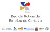 Red de Bolsas de Empleo de Cartago. Con el apoyo del Proyecto Verificación: Plan Piloto para el Fortalecimiento de la Administración del Trabajo Red de.