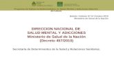 Programa de Vigilancia Epidemiológica en Salud Mental y Adicciones (Decreto 457/2010) DIRECCION NACIONAL DE SALUD MENTAL Y ADICCIONES Ministerio de Salud.