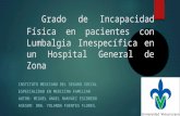 Grado de Incapacidad Física en pacientes con Lumbalgia Inespecífica en un Hospital General de Zona INSTITUTO MEXICANO DEL SEGURO SOCIAL ESPECIALIDAD EN.