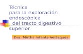 Técnica para la exploración endoscópica del tracto digestivo superior Dra. Mirtha Infante Velázquez.