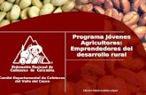 Comité Departamental de Cafeteros del Valle del Cauca Programa Jóvenes Agricultores: Emprendedores del desarrollo rural Héctor Fabio Cuéllar López.