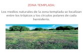 ZONA TEMPLADA: Los medios naturales de la zona templada se localizan entre los trópicos y los círculos polares de cada hemisferio.