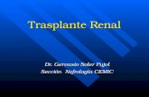 Trasplante Renal Dr. Gervasio Soler Pujol Sección Nefrología CEMIC.