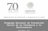 Septiembre, 2013 Programa Nacional de Prevención Social de la Violencia y la Delincuencia Subsecretaría de Prevención y Promoción de la Salud.