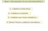 1.- Catálisis ácido-base. 2.- Catálisis covalente 3.- Catálisis por iones metálicos. Tema-7. MECANISMOS DE ACCIÓN ENZIMÁTICA.... 4. Efecto Túnel y catálisis.