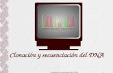 Clonación y secuenciación del DNA1 Clonación y secuenciación del DNA.