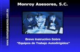 Monroy Asesores, S.C. Breve Instructivo Sobre “Equipos de Trabajo Autodirigidos” .