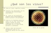 ¿Qué son los virus? Virus en latín significa veneno Pudieron ser observados con la invención del microscopio electrónico. Un virus es una partícula pequeña.