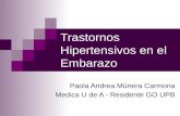 Trastornos Hipertensivos en el Embarazo Paola Andrea Múnera Carmona Medica U de A - Residente GO UPB.