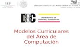 Modelos Curriculares del Área de Computación. Modelos Curricular ACM-IEEE ANIEI-CENEVAL.