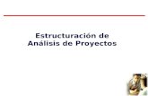 Estructuración de Análisis de Proyectos. OPORTUNIDAD DE NEGOCIO INVESTIGACIÓN DE MERCADOS MARKETING MIX Precio Producto Publicidad Plaza/ Presentación.