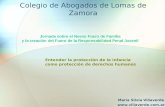 Colegio de Abogados de Lomas de Zamora María Silvia Villaverde  Entender la protección de la infancia como protección de derechos.