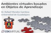Sistema de Universidad Virtual de la Universidad de Guadalajara (México) – Más de 3,000 estudiantes vía Internet – Bachillerato – Seis licenciaturas –