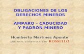 OBLIGACIONES DE LOS DERECHOS MINEROS AMPARO – CADUCIDAD Y PADRÓN MINERO Humberto Martínez Aponte ABOGADOS / ATTORNEYS AT LAW ROSSELLÓ.